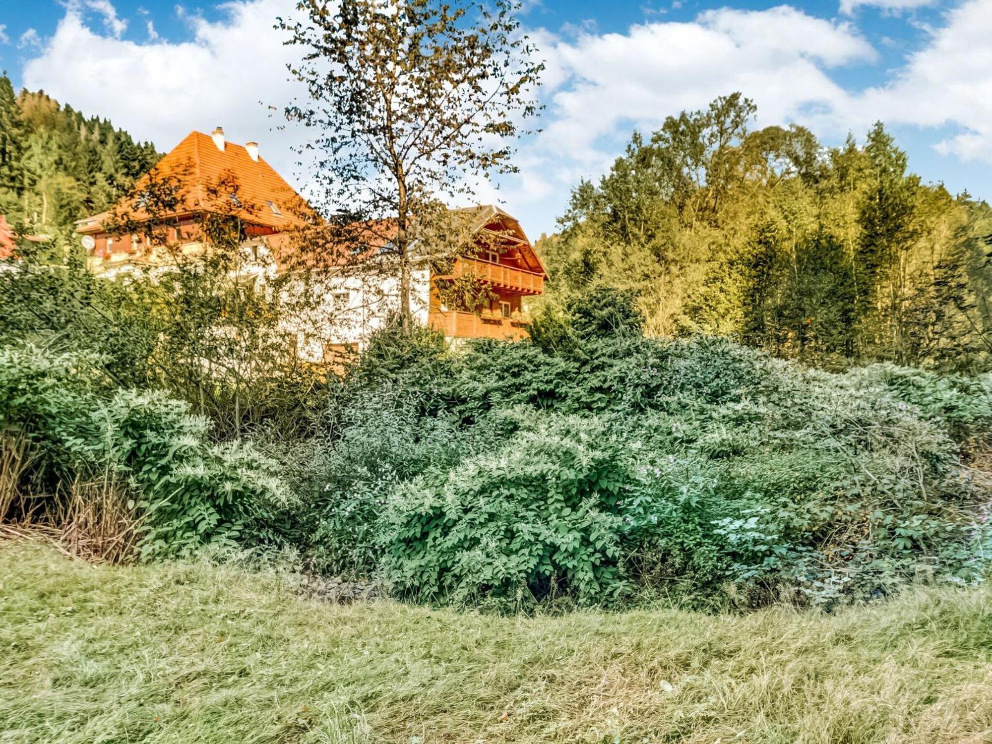 Apartment Thuringian Forest With Balcony Gießübel Екстериор снимка